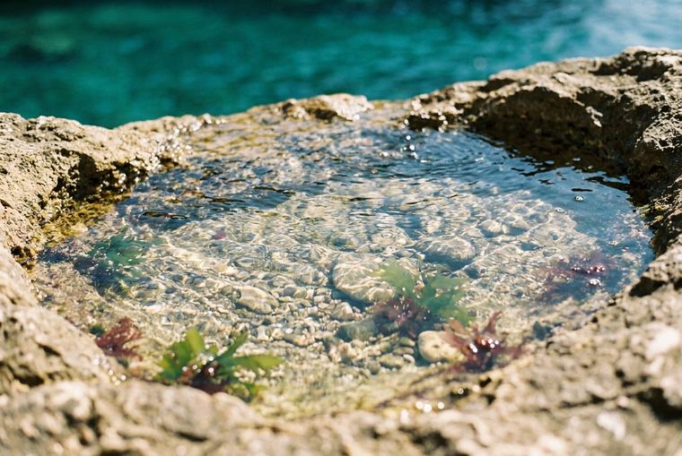Tide pool