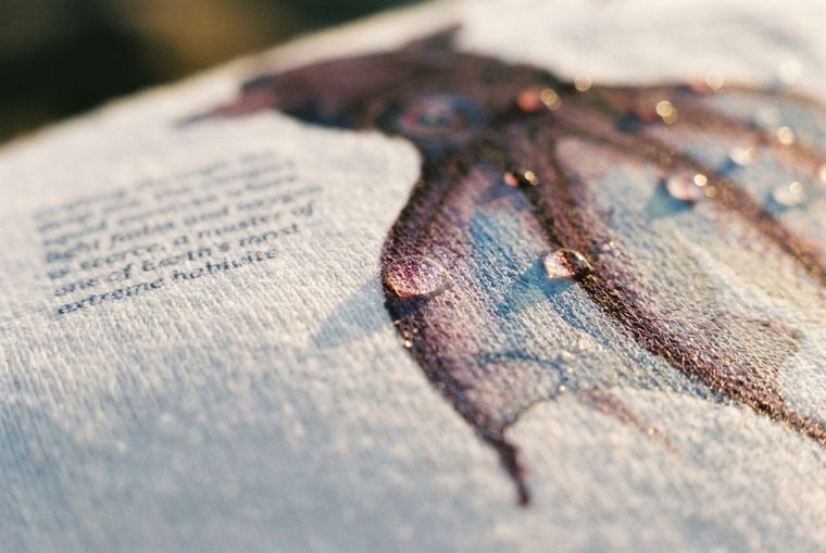 Print and fabric close-up