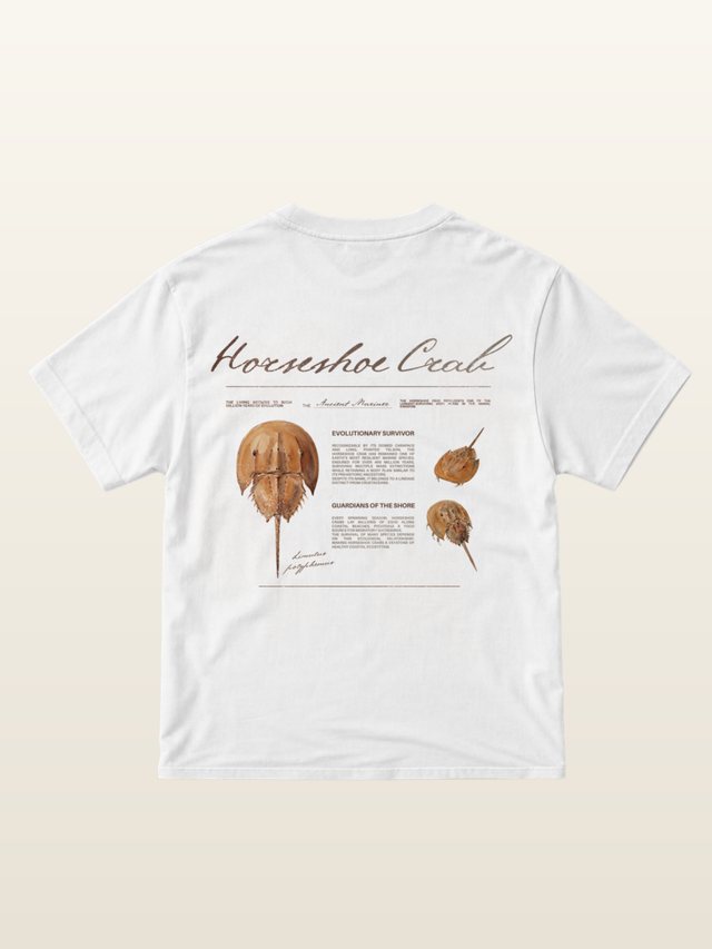 Horseshoe Crab tee on model