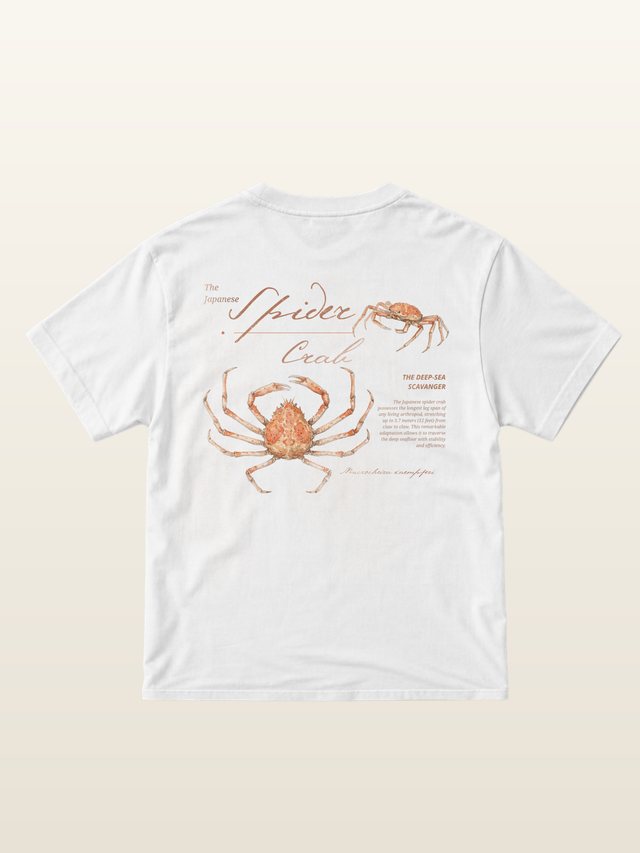 Spider Crab tee on model