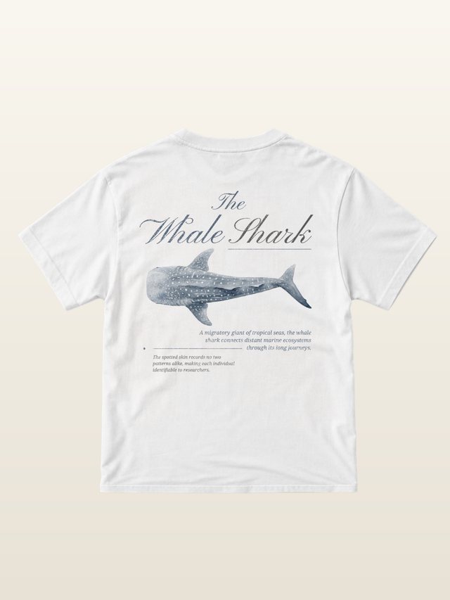 Whale Shark tee on model