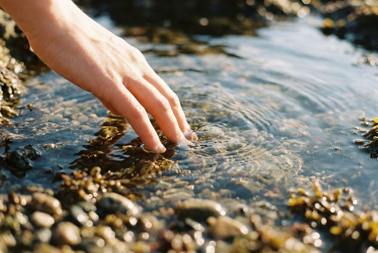 Hand in a tide pool